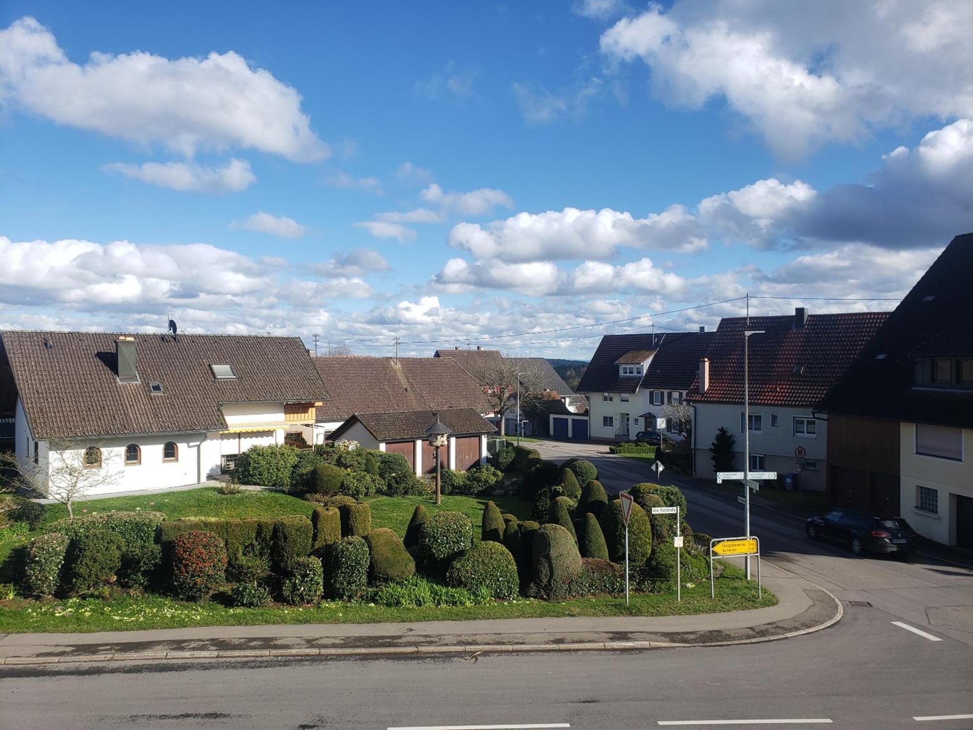 Alter Hirsch Hotell Pfalzgrafenweiler Rum bild
