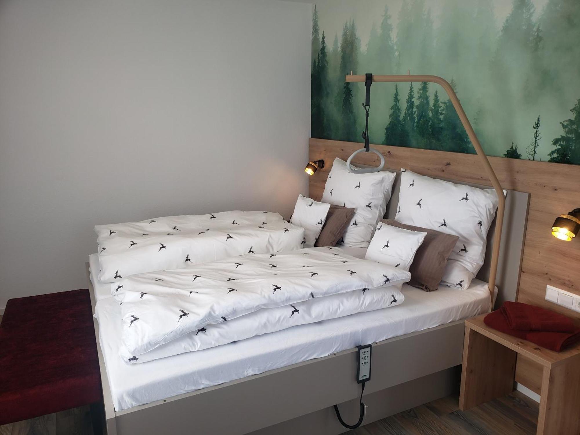 Alter Hirsch Hotell Pfalzgrafenweiler Rum bild